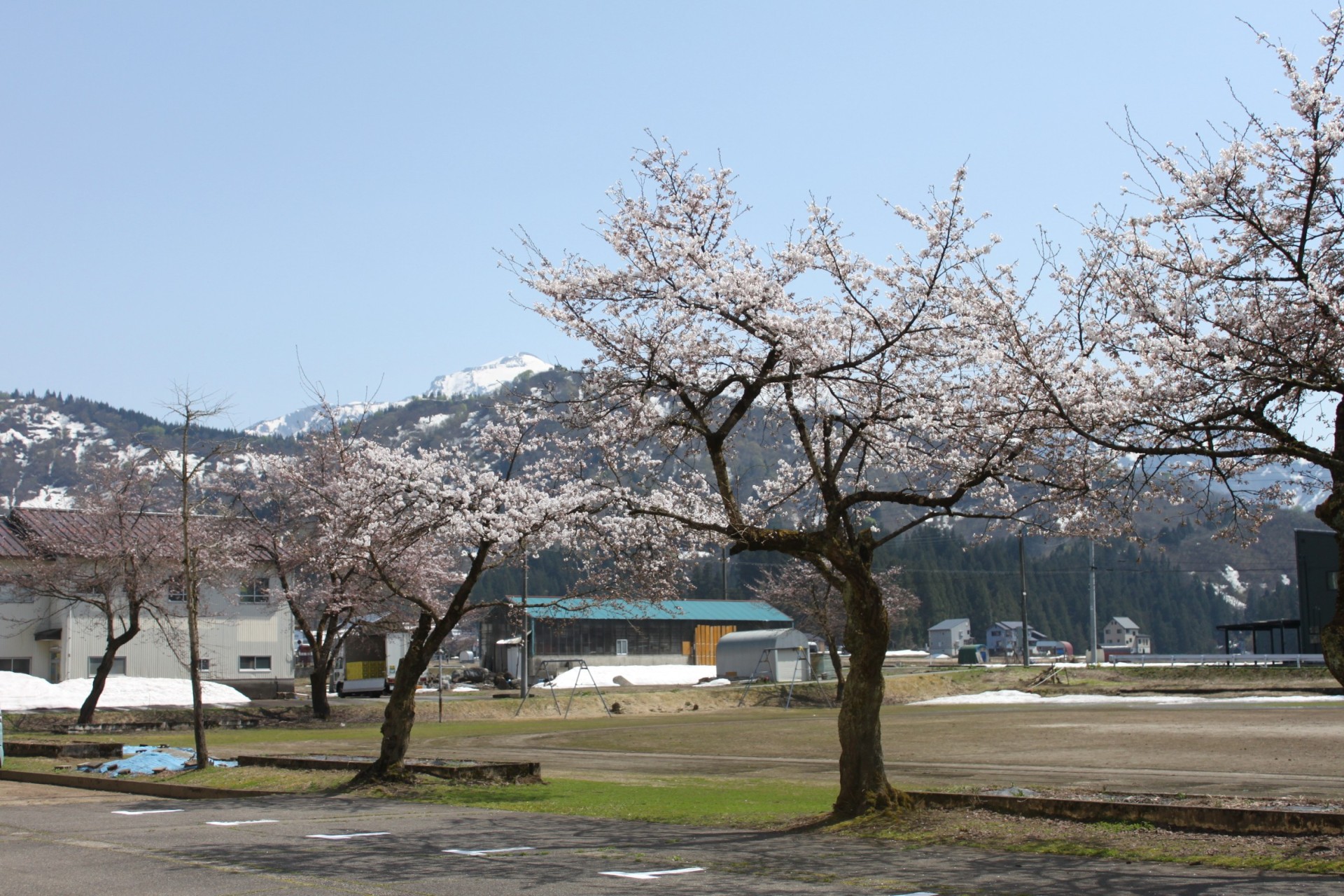 IMG_8747.JPG