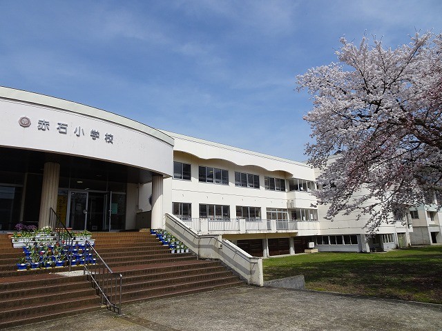 s-DSC06224.jpg