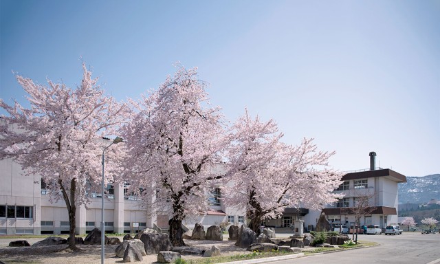 岩石園.jpg