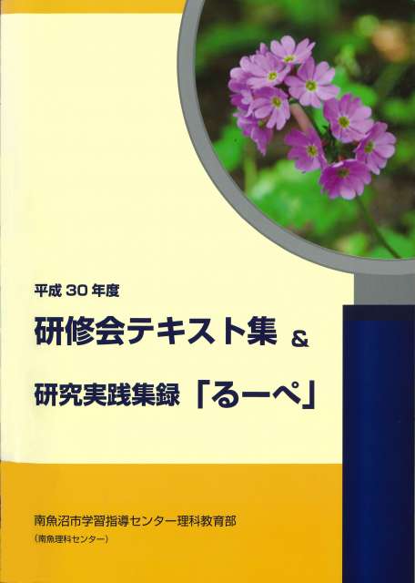 平成30年度「研修会テキスト集＆るーぺ」